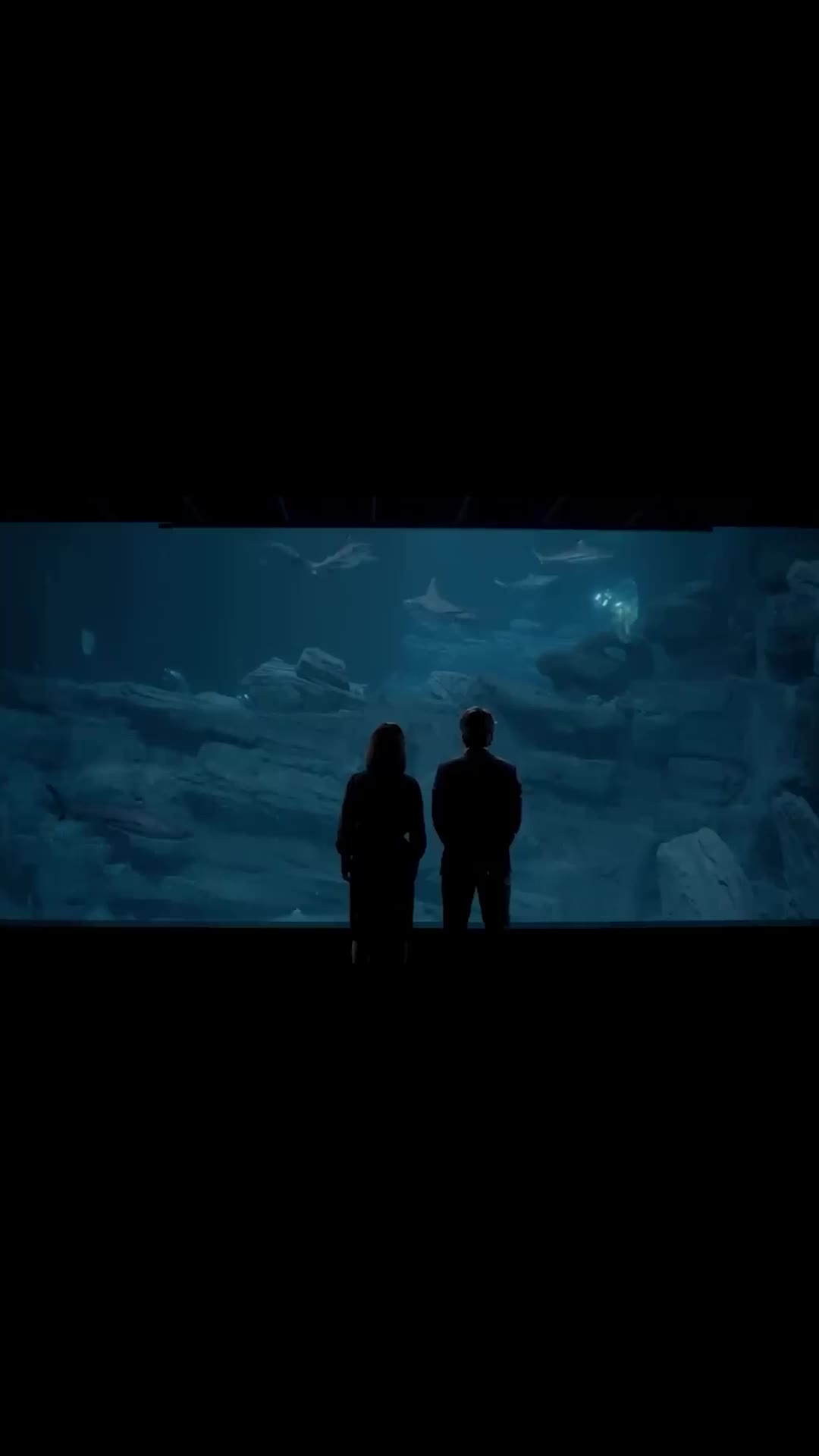 @silverscreenrecaphub