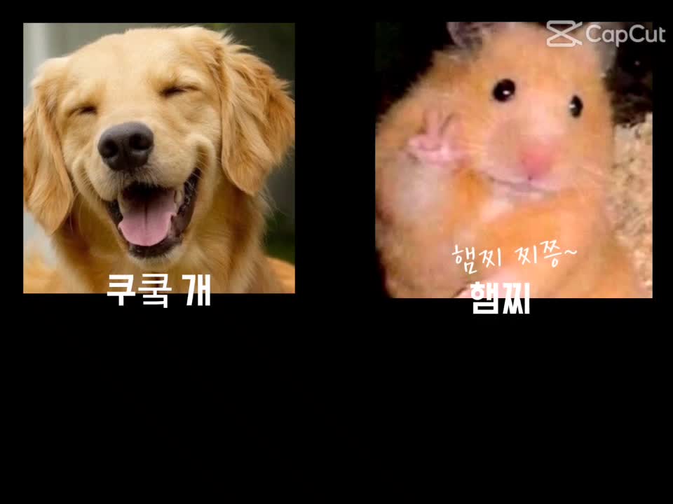 @꺄항!