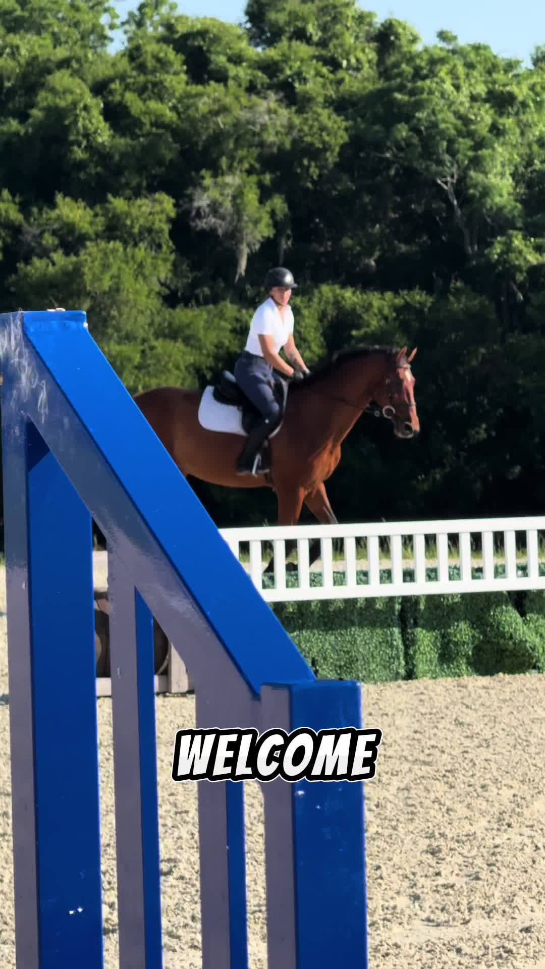 @Sydney | 🐴🏡