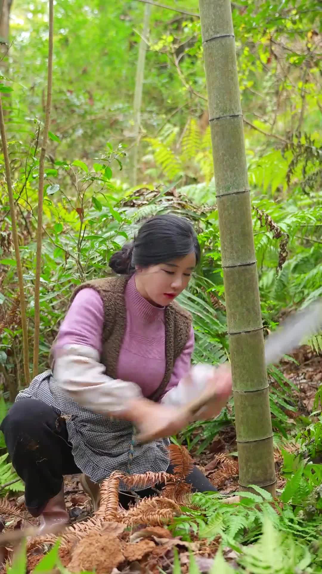 @Xiaotian