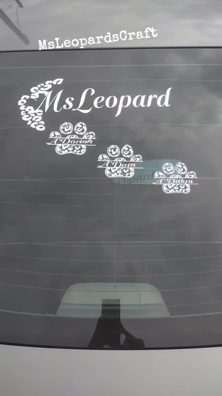 @MsLeopard1218