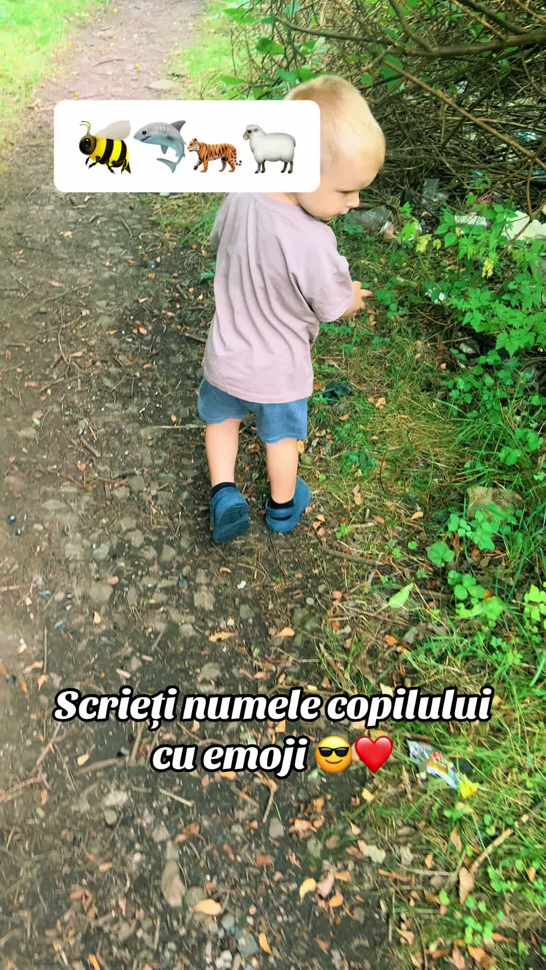 @🦋 Diannee 🦋