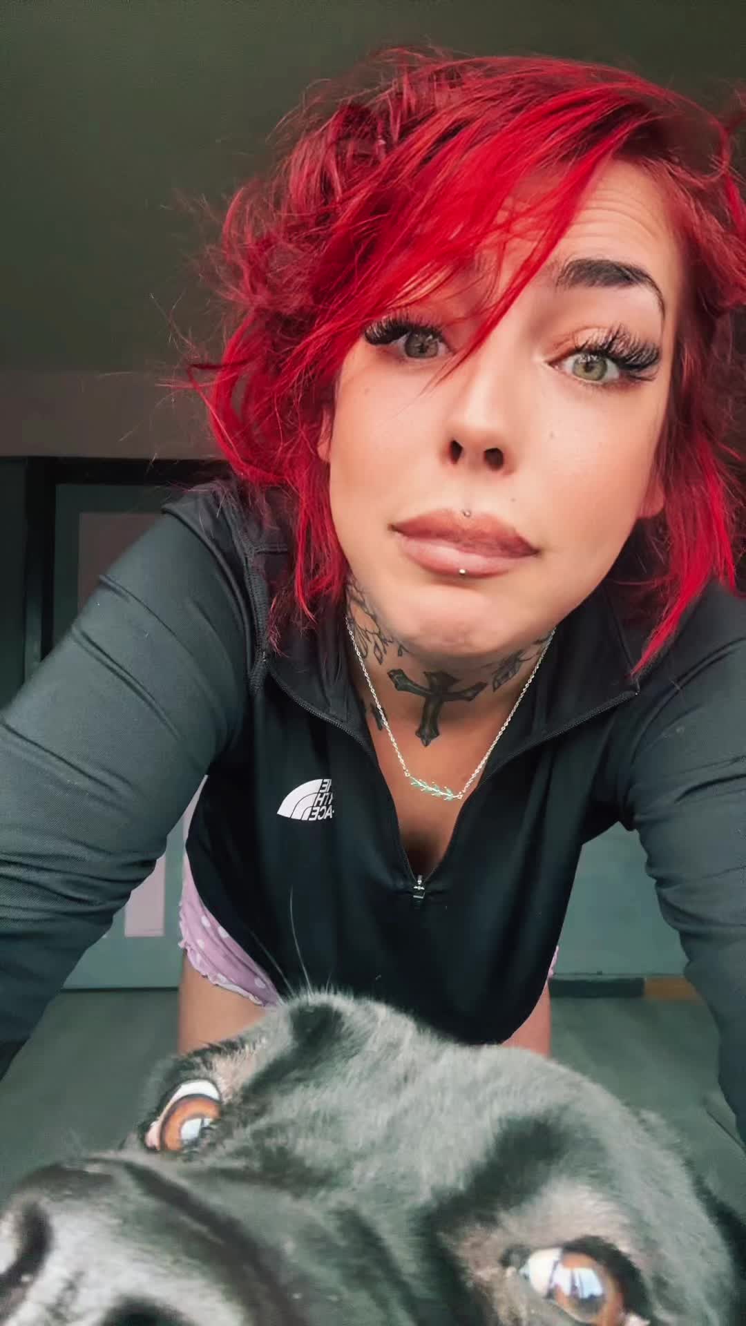 @gnicole