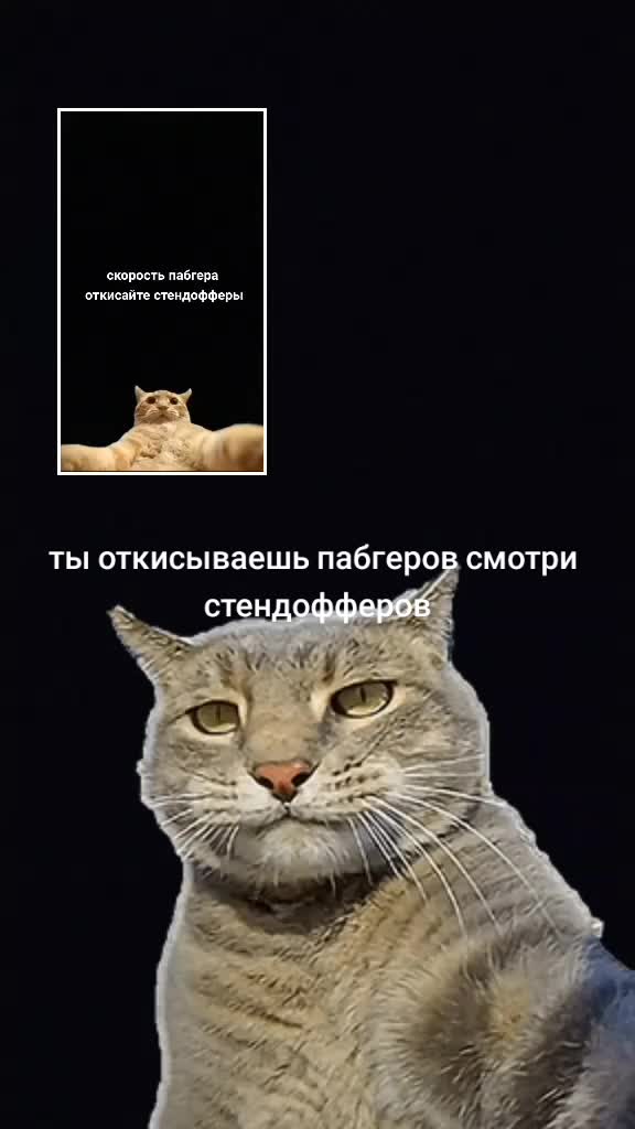@Умар