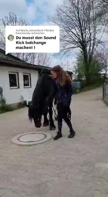 @𝐒𝐡𝐞𝐲