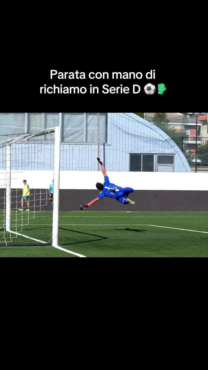 @Daniel Salvalaggio