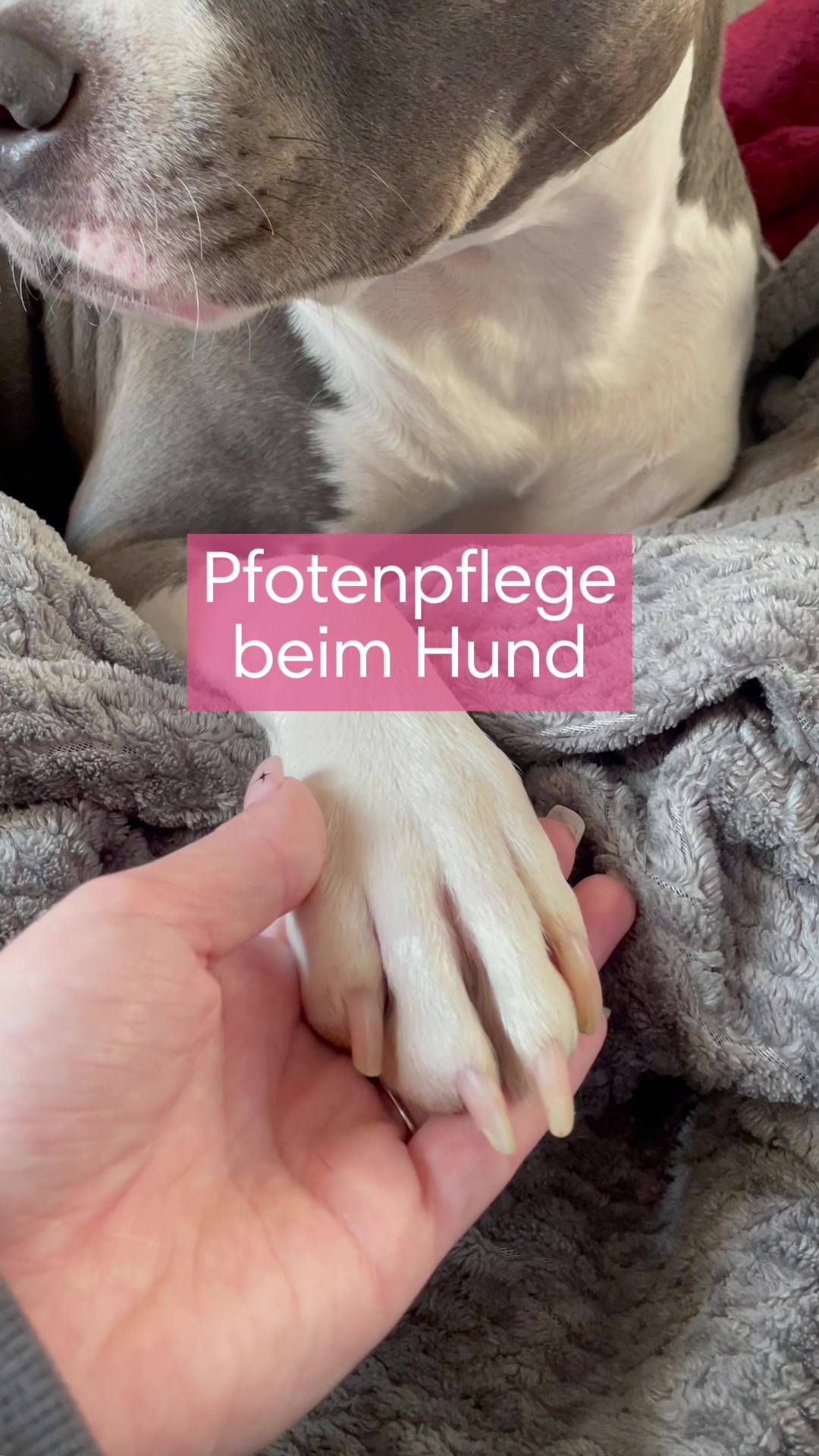@diefutterbar