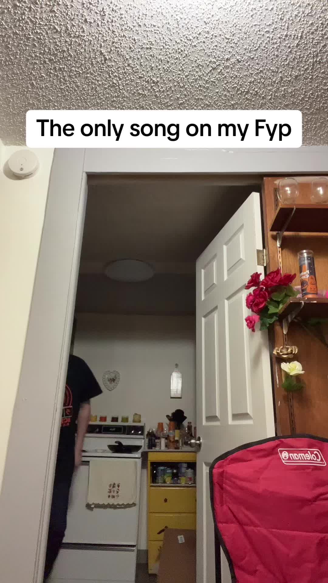 @your.favorite.tiktok.felon