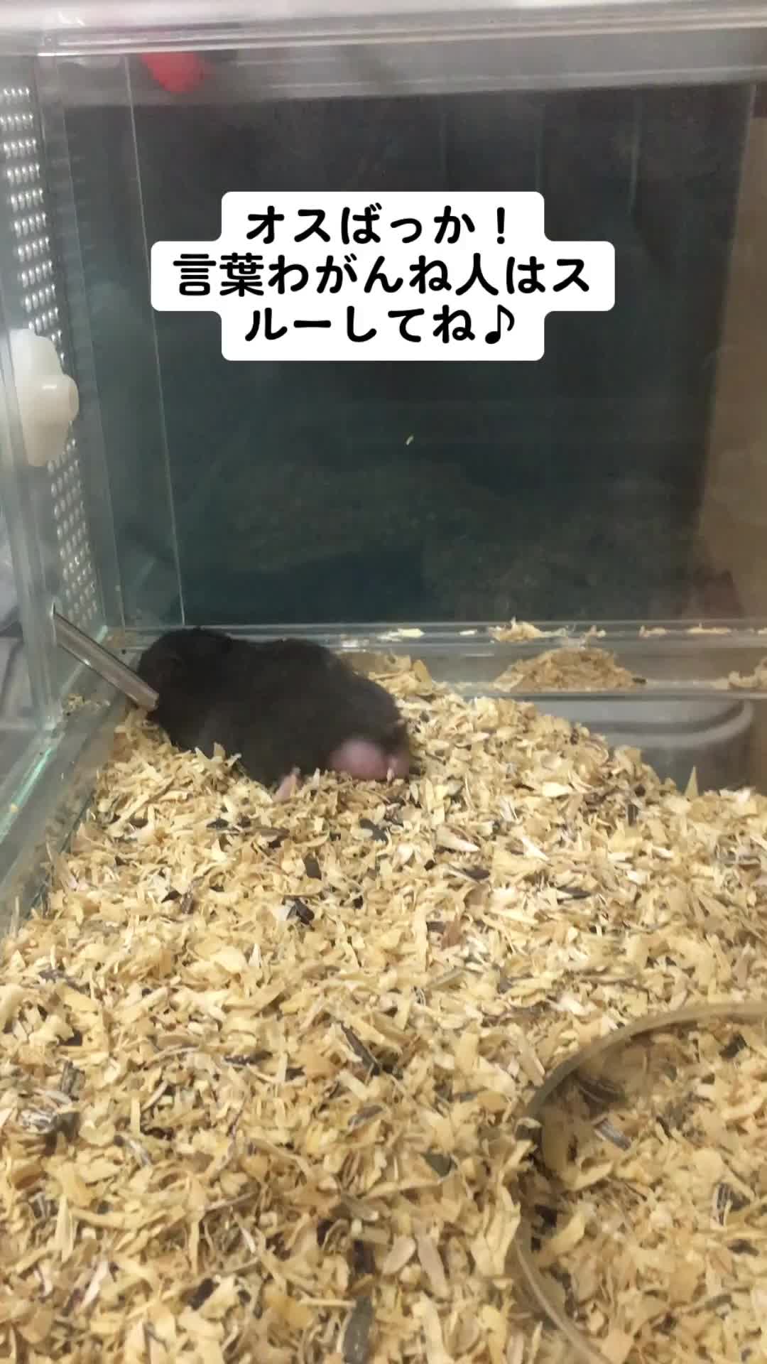 @キャサ子