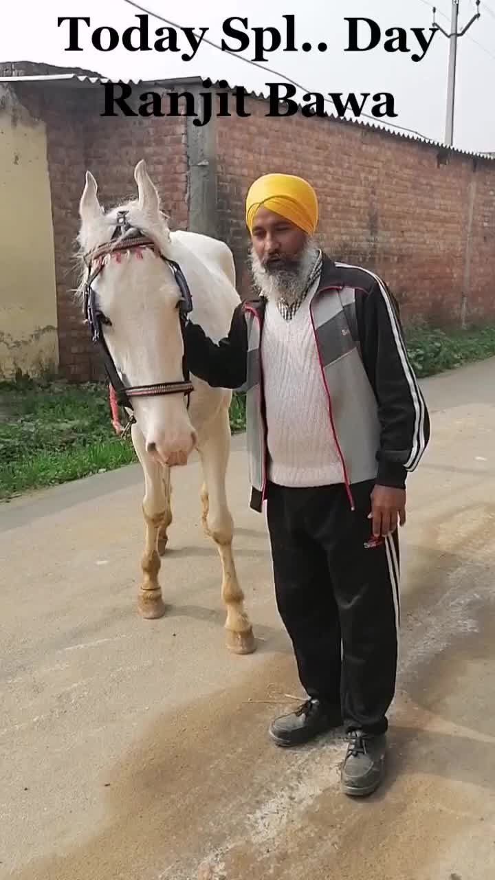 @Singh Sohal
