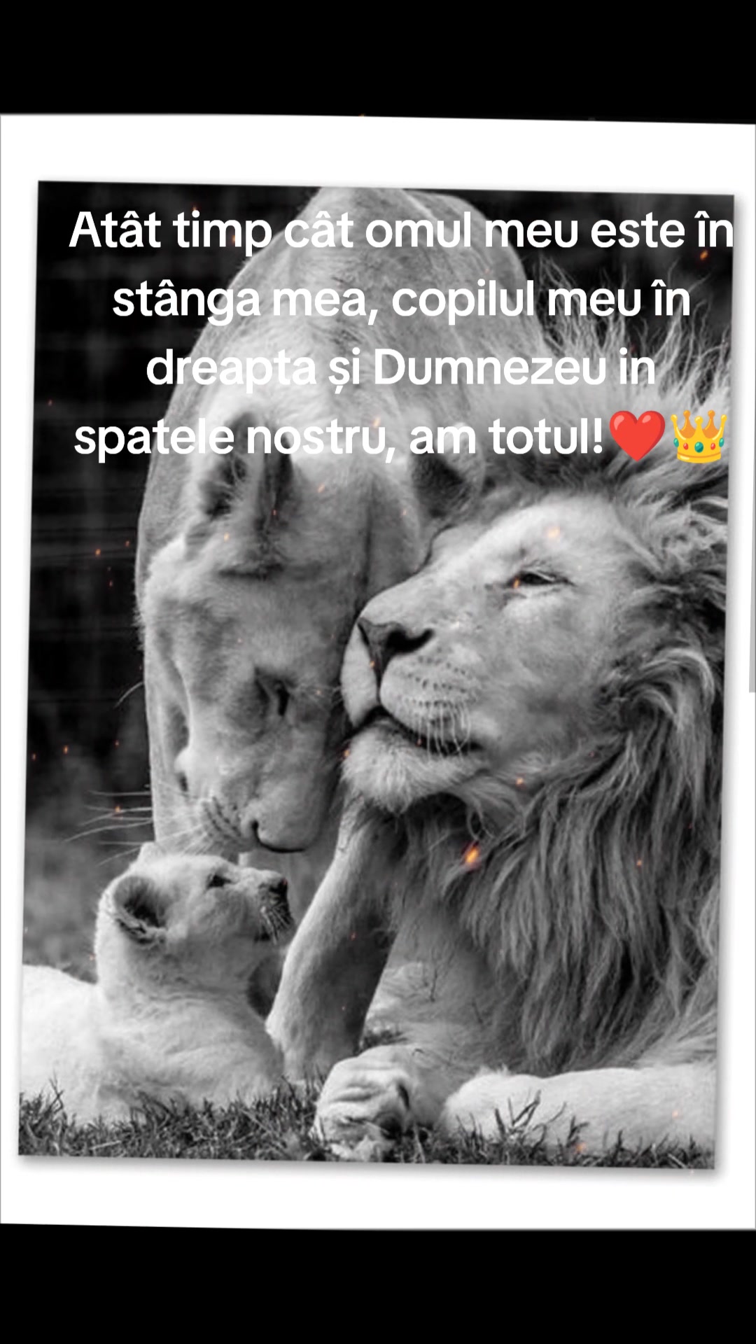 @Beatrix