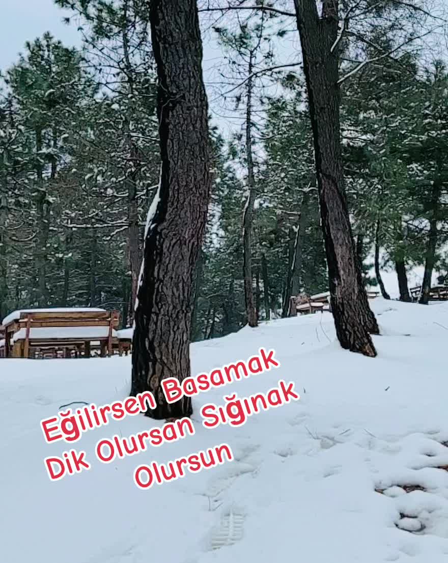 @Libah52