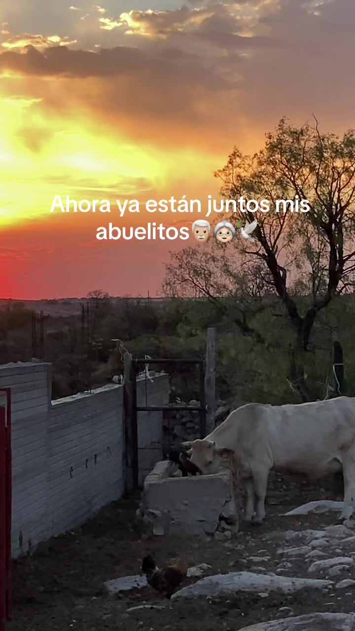 @YS SARABIA Y ALGO M&Aacute;S