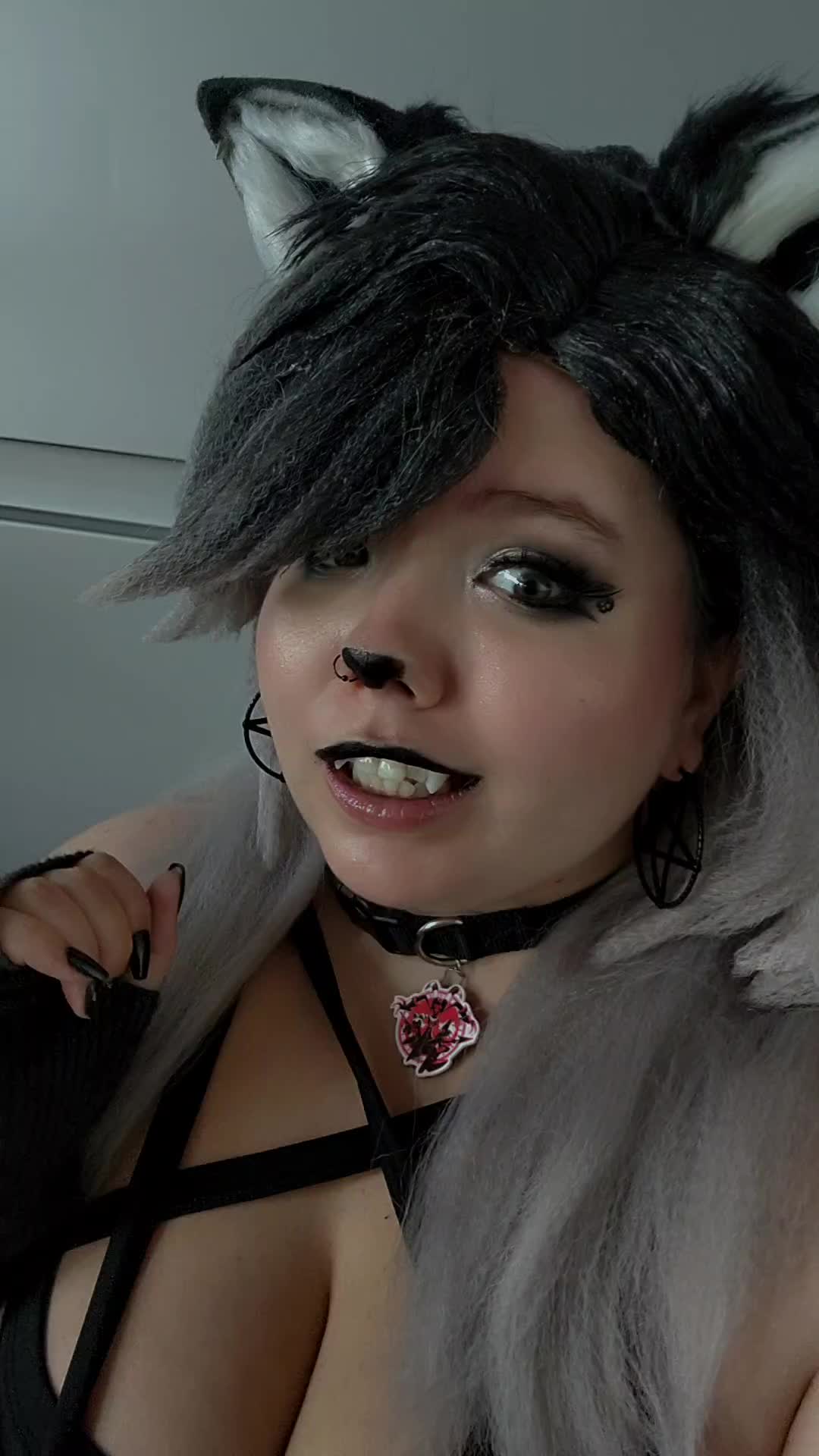 @Lil_Fox_Kit