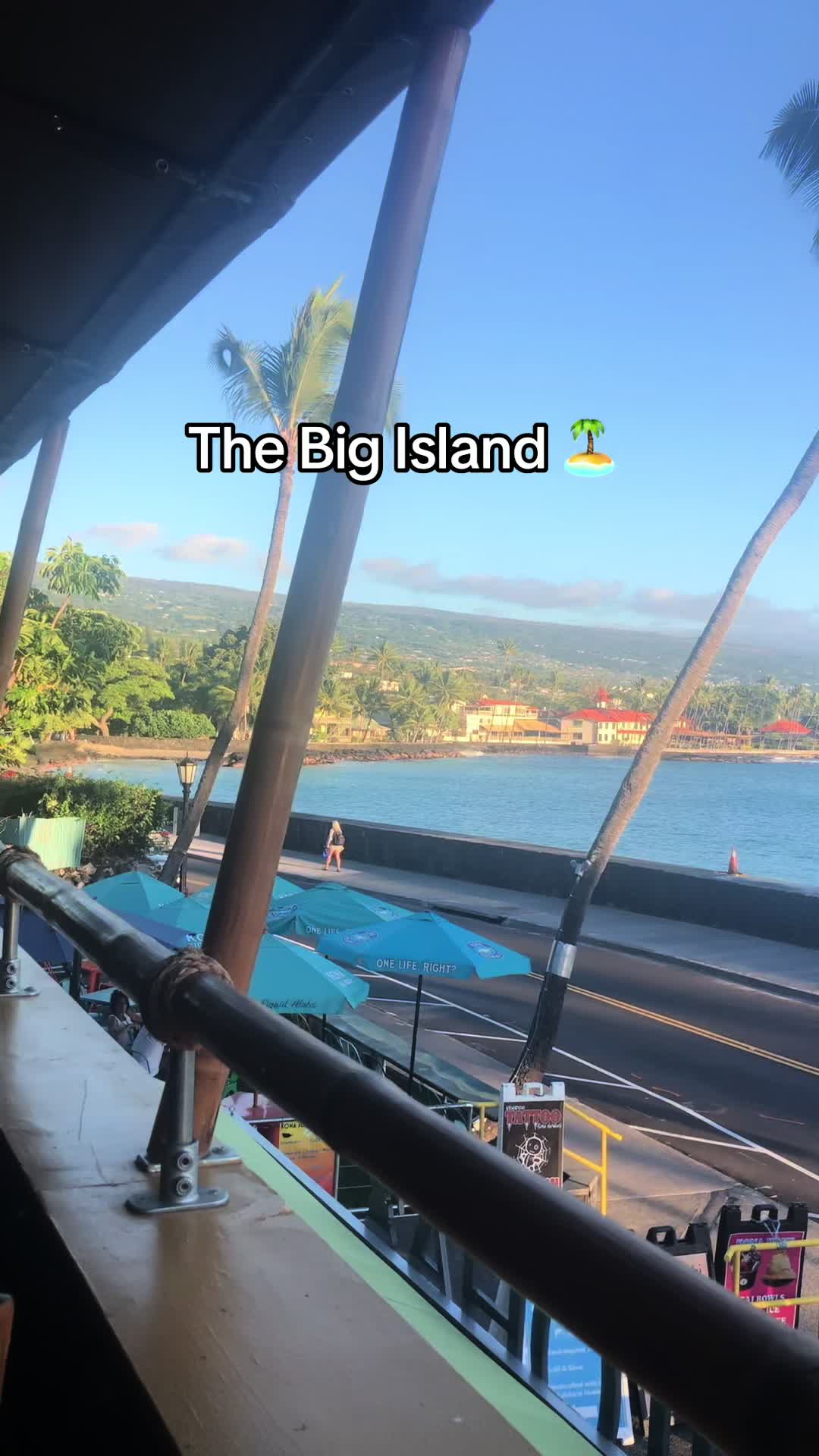 @gardeninginoside
