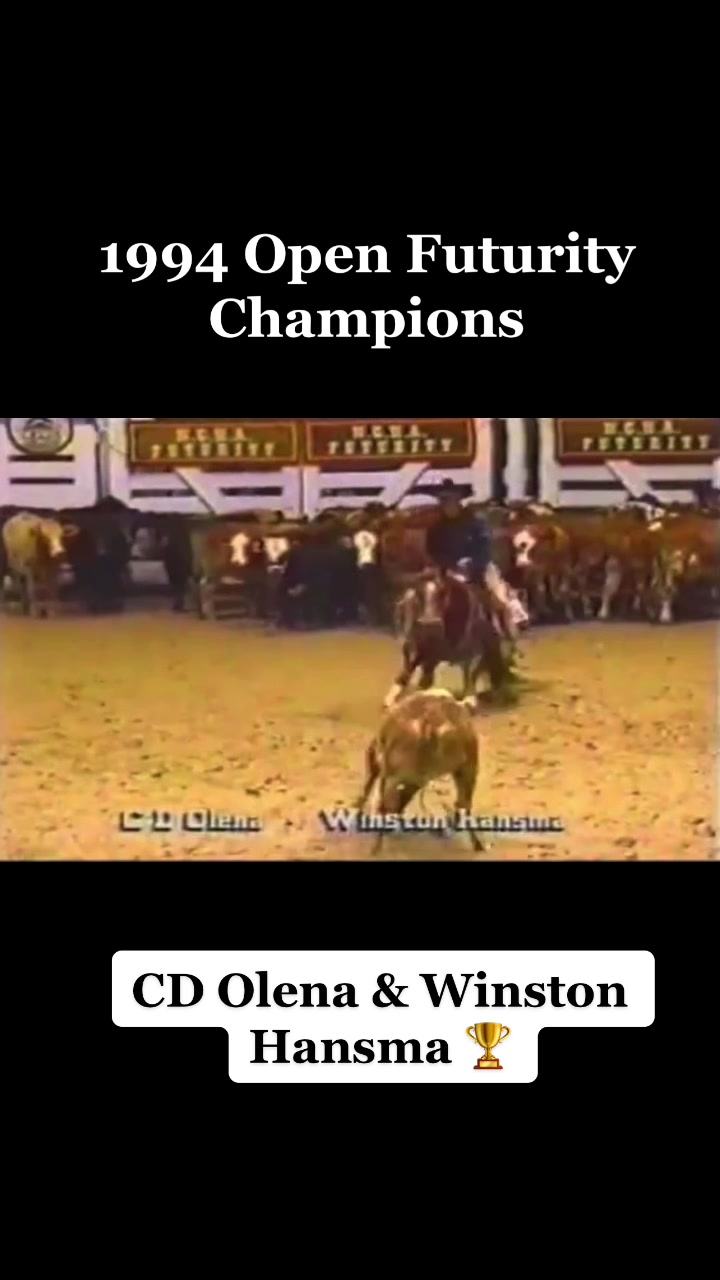 @cuttinghorsess