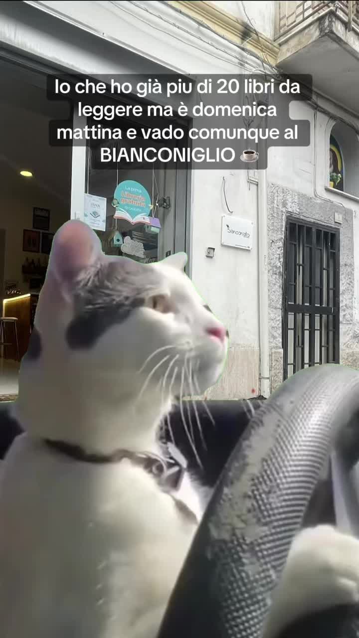 @Bianconiglio