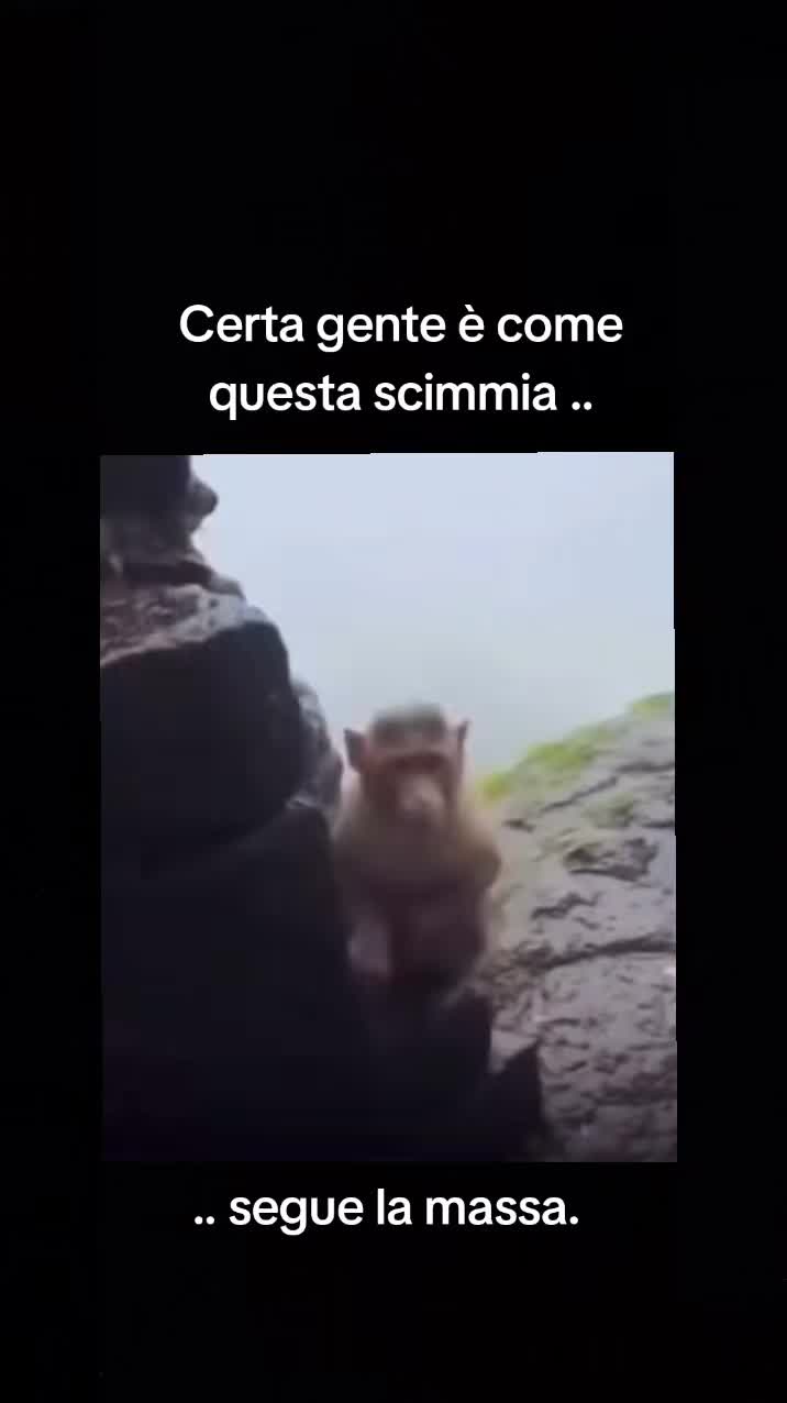 @ilmanu75