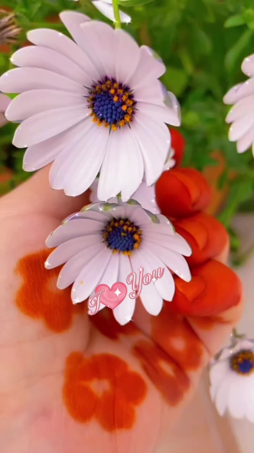 @haqqsiz_dunya