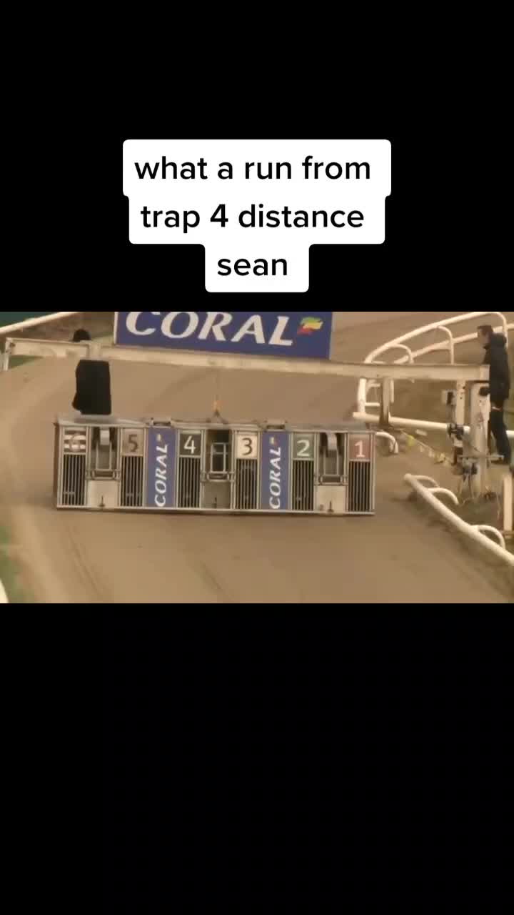 @d&s racing ๐ถ๐