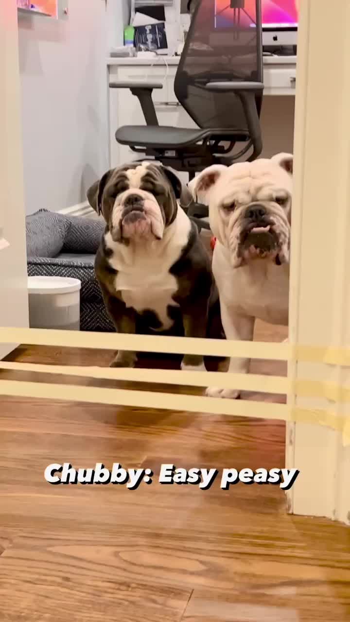 @ChubbynBella