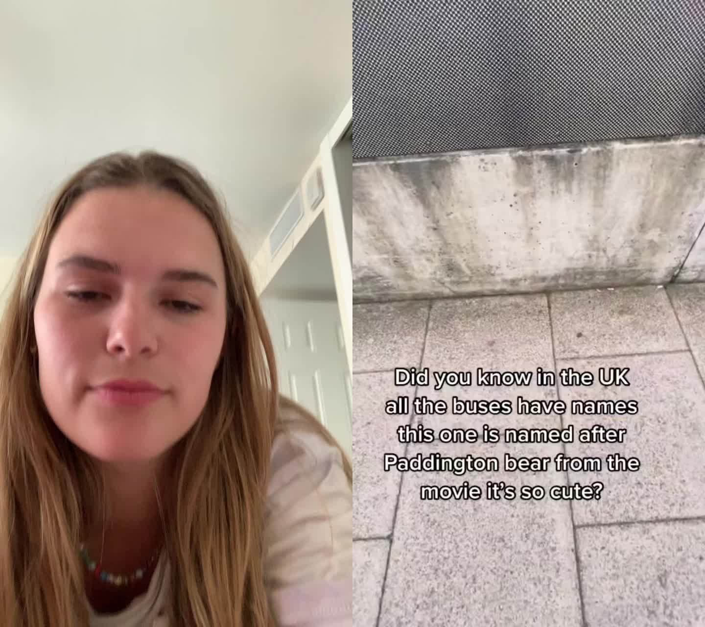 @lexitootle