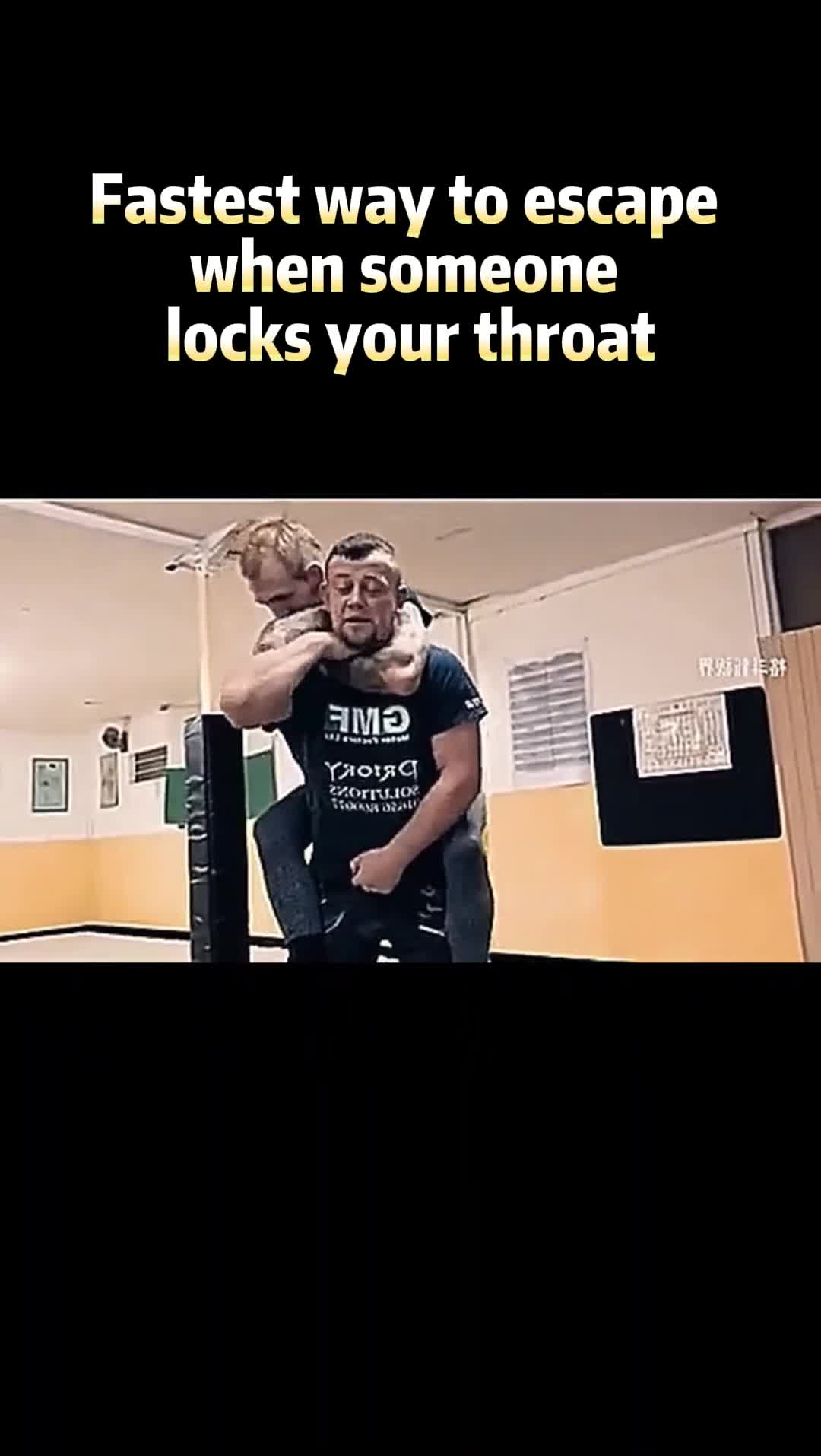 @fighting_kingfupanda