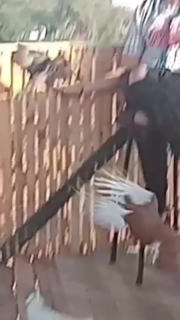 @المسك🖐️