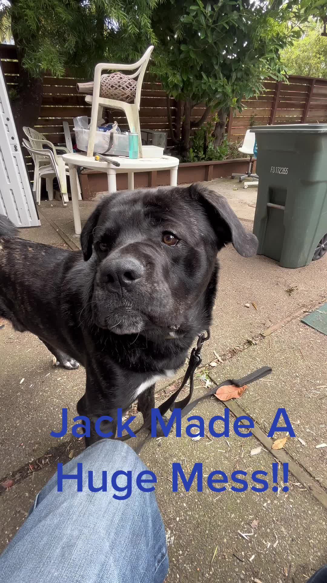 @JackAndJoey