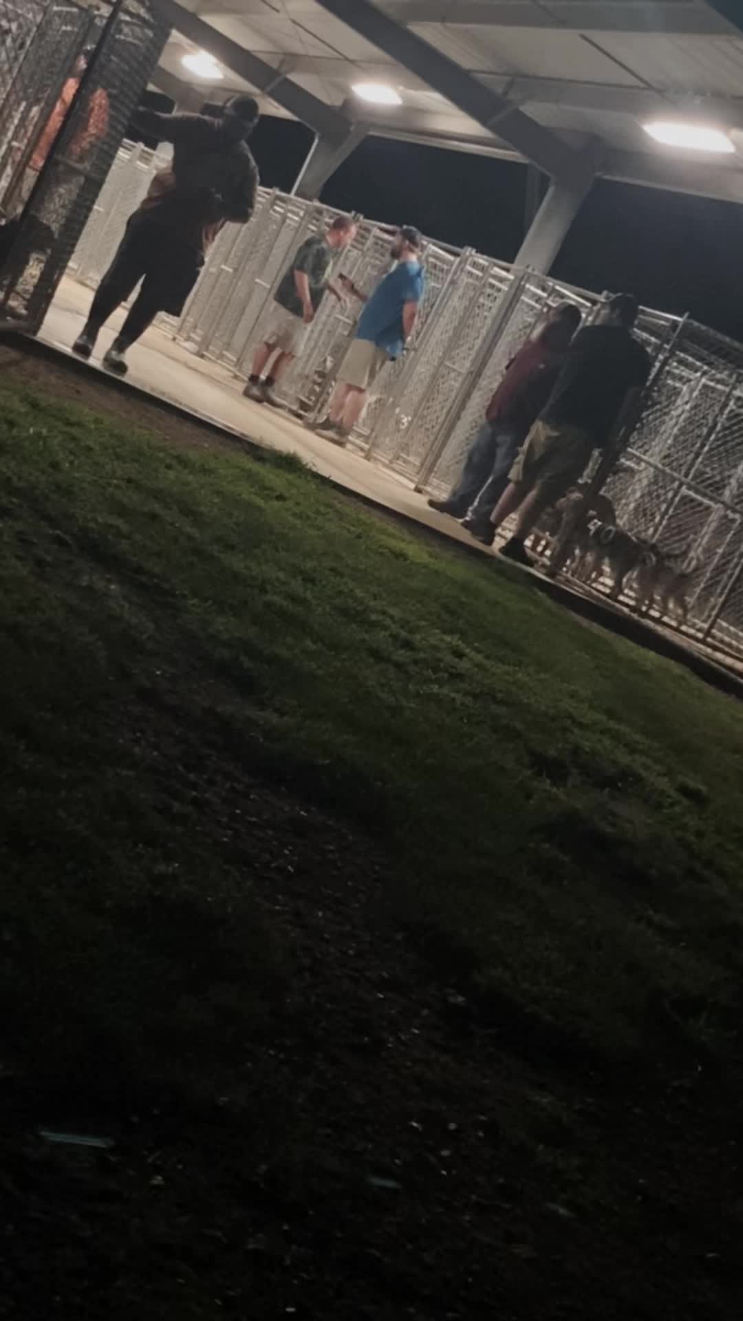 @Under the fence kennels
