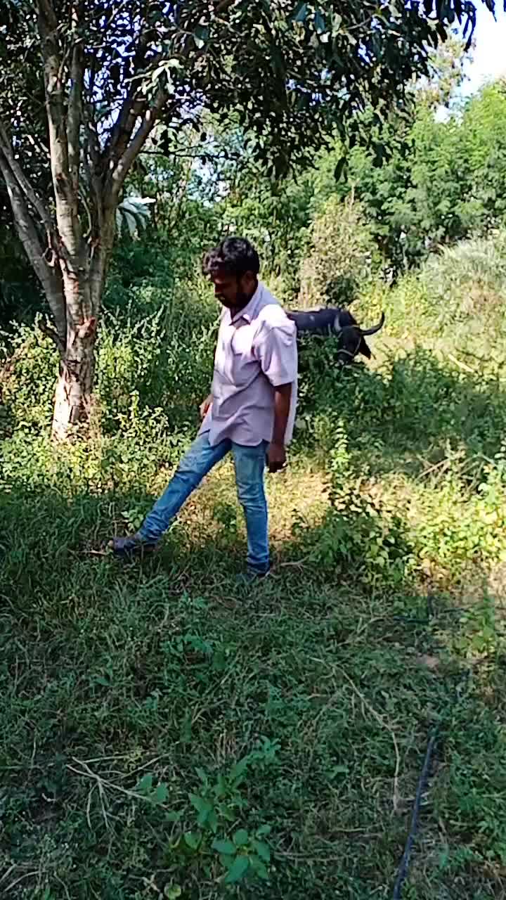 @k.sai Kumar goud
