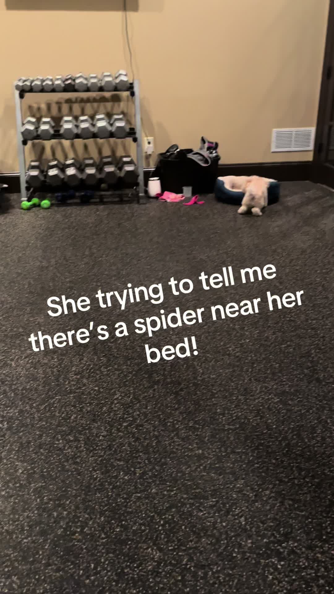 @LilFitPrincess
