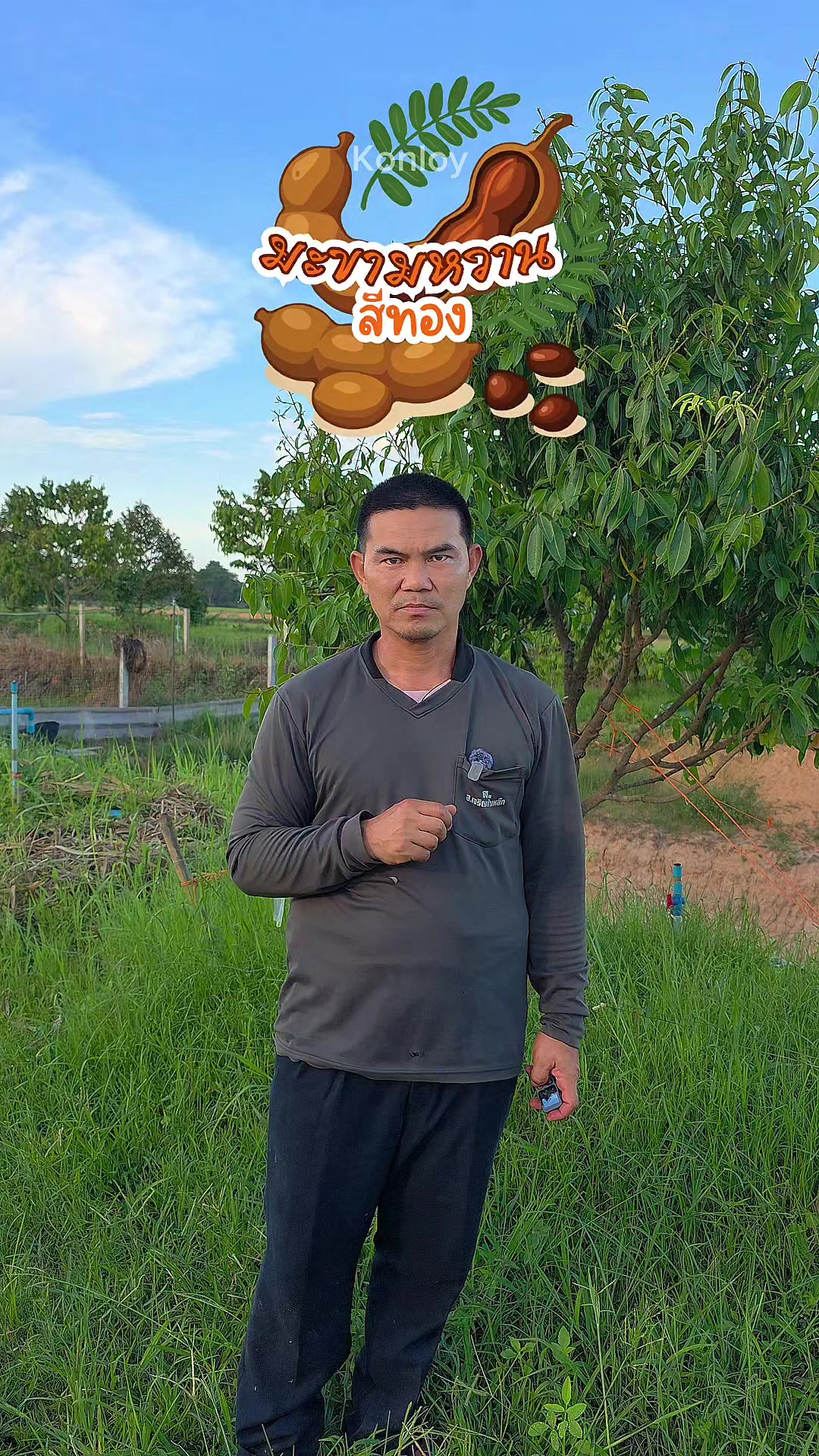 @Konloy