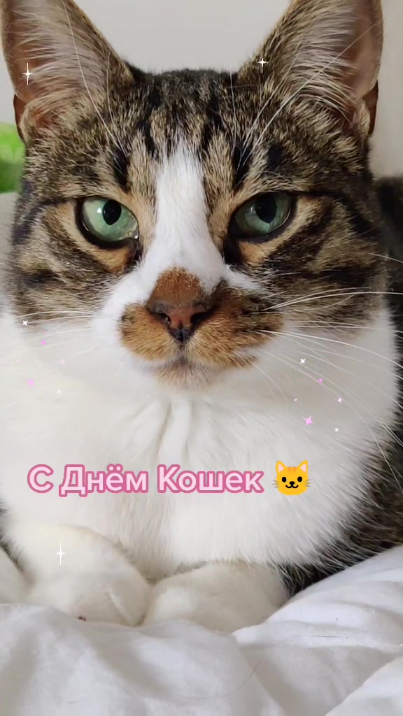 @Miki Мики