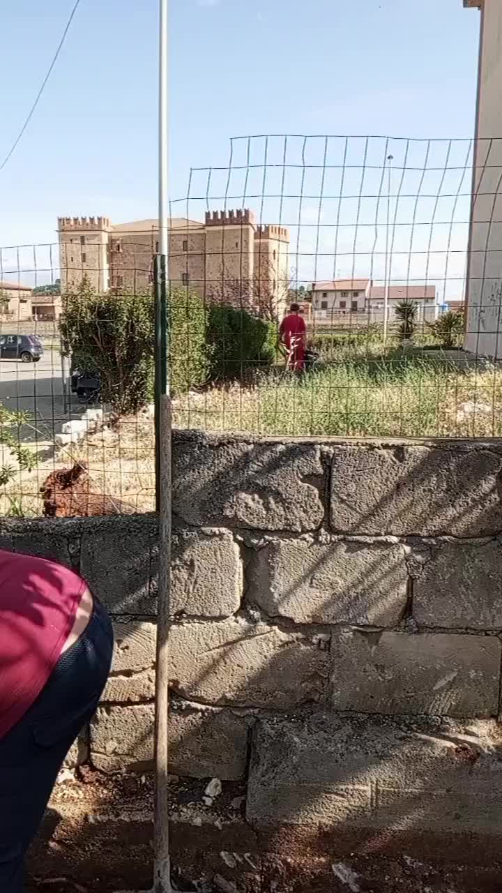 @samueledegiovanni