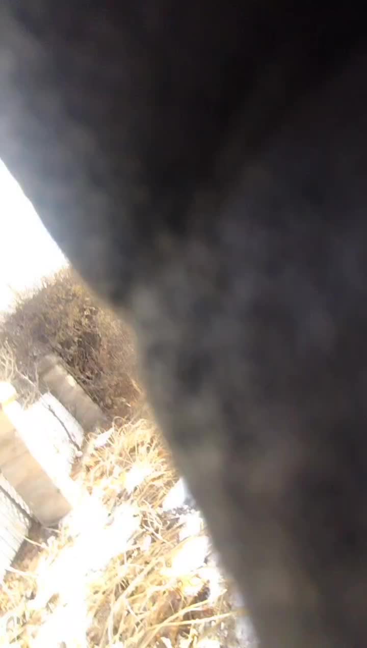 @WildWestRooster