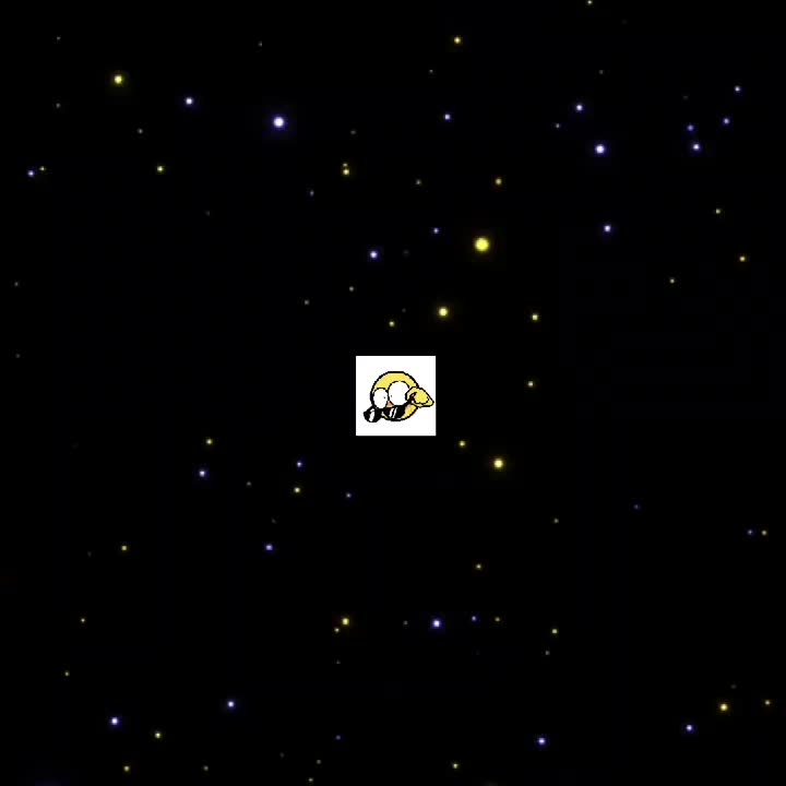 @ccRaccoon