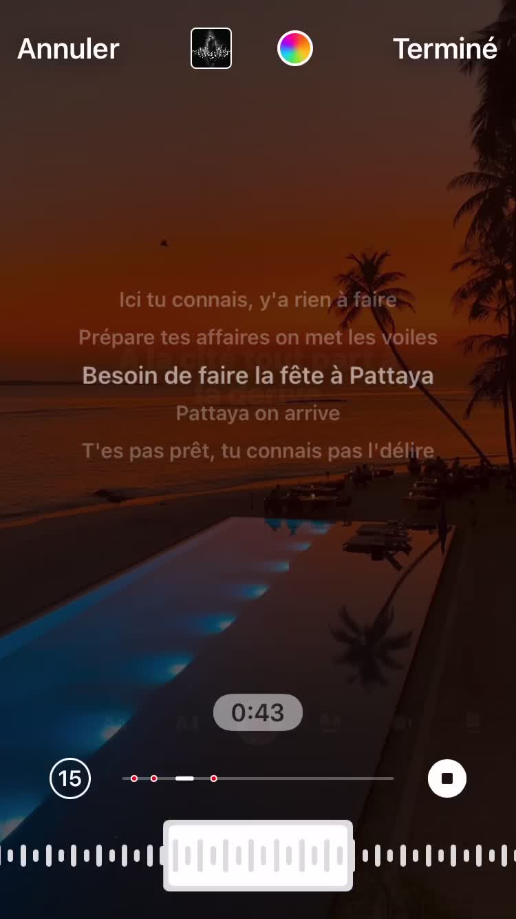 @🌺🌴