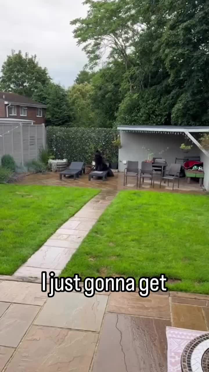 @Newfypups