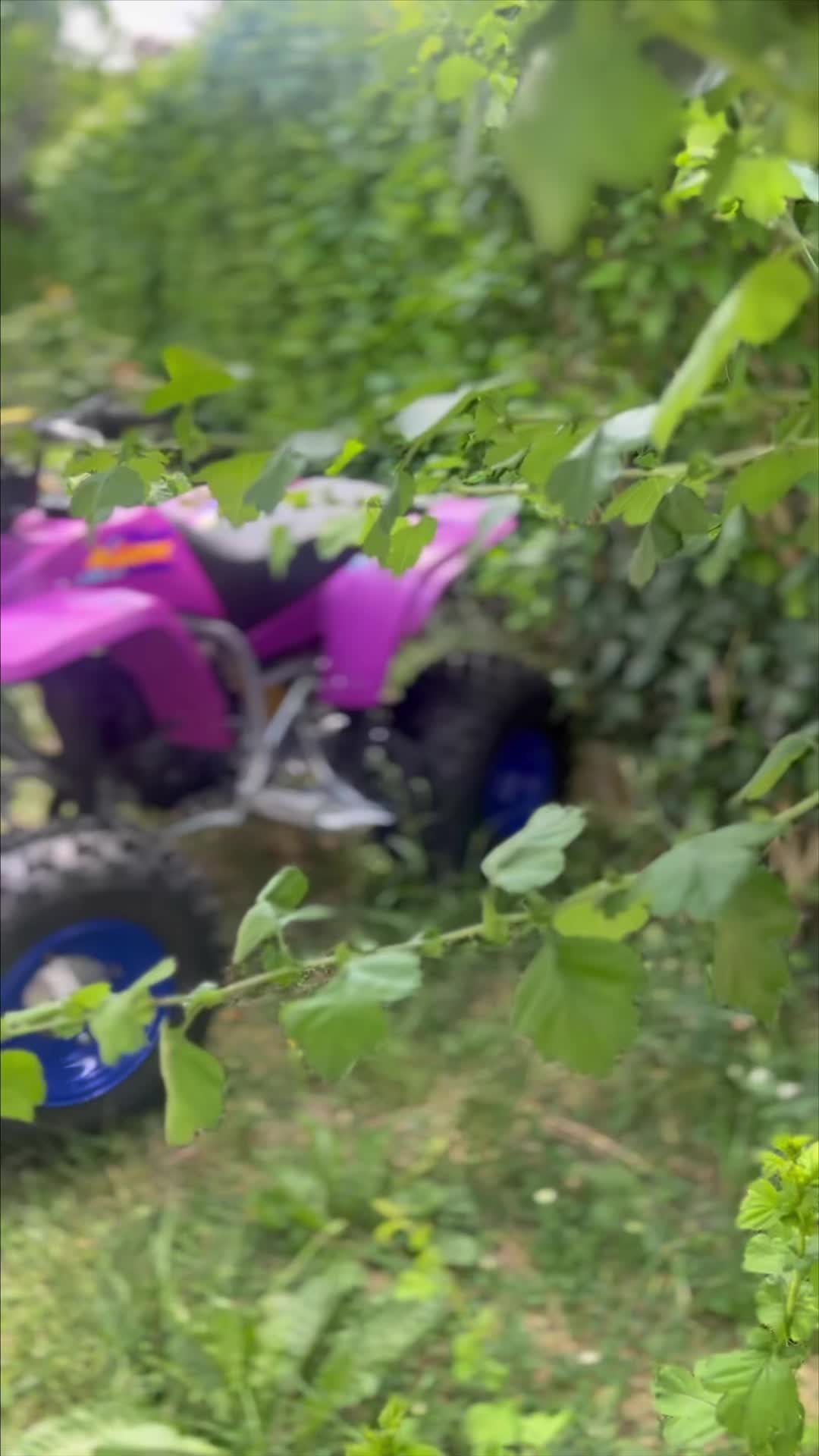 @BazbazLaHonda