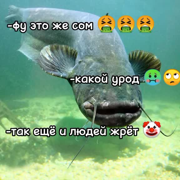 @COMUK_O