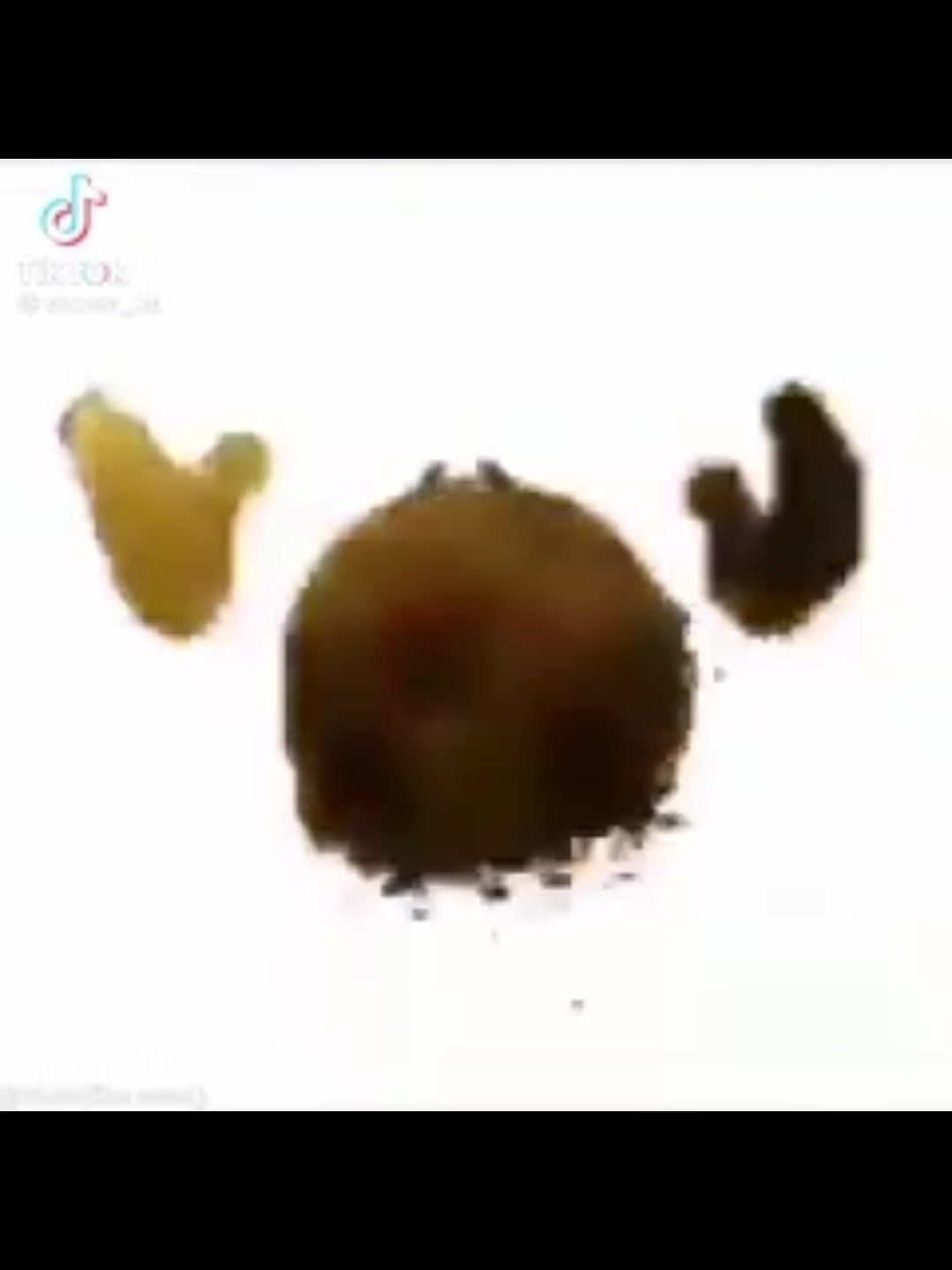 @em:>🍂
