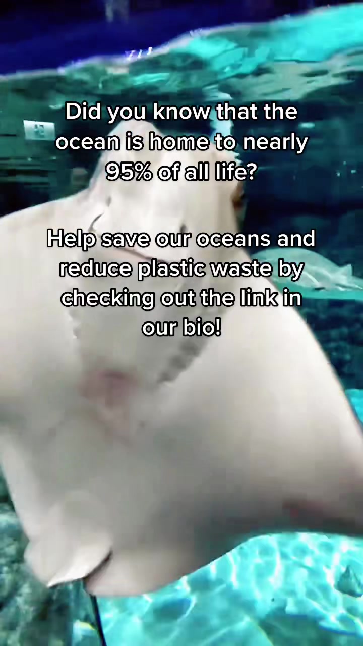 @Ocean Project