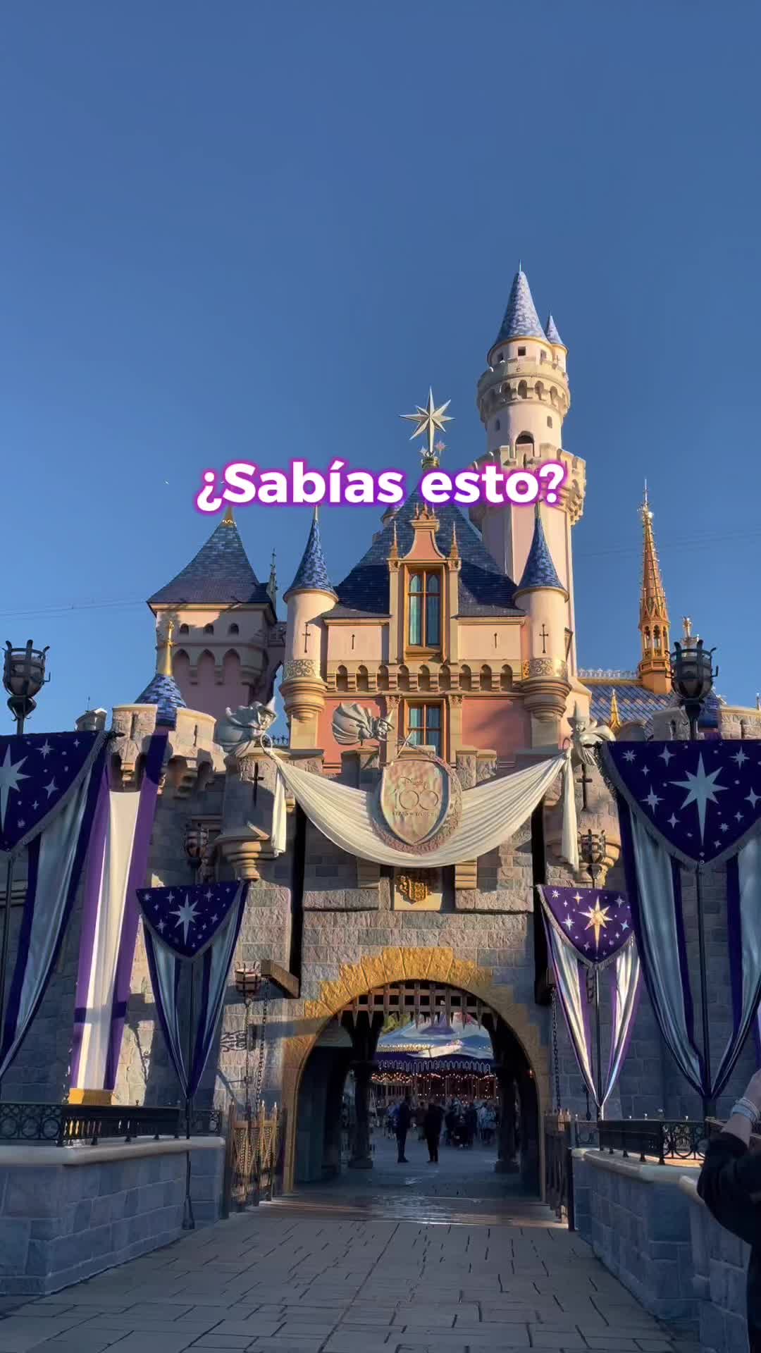 @Magic Forever Vacation 💜