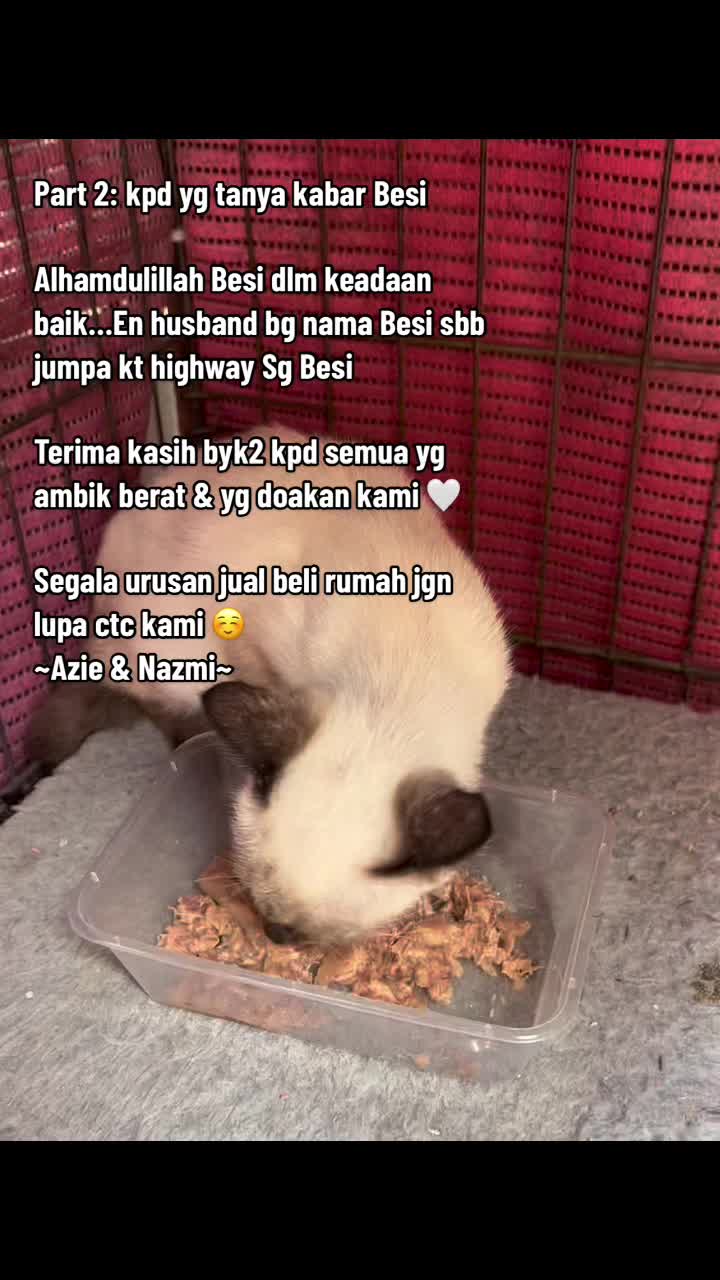 @Azie Aziz