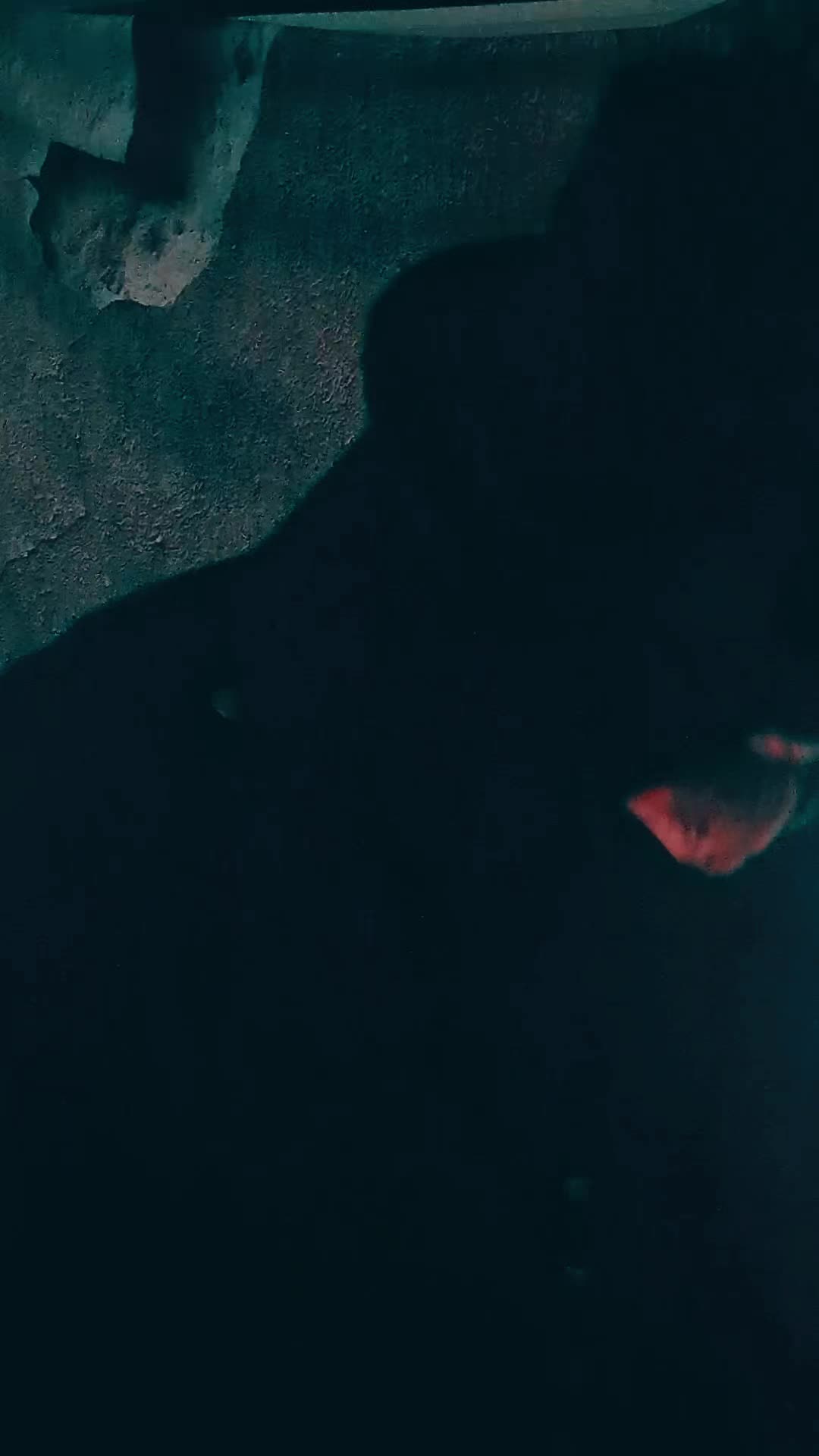 @sckree_ch