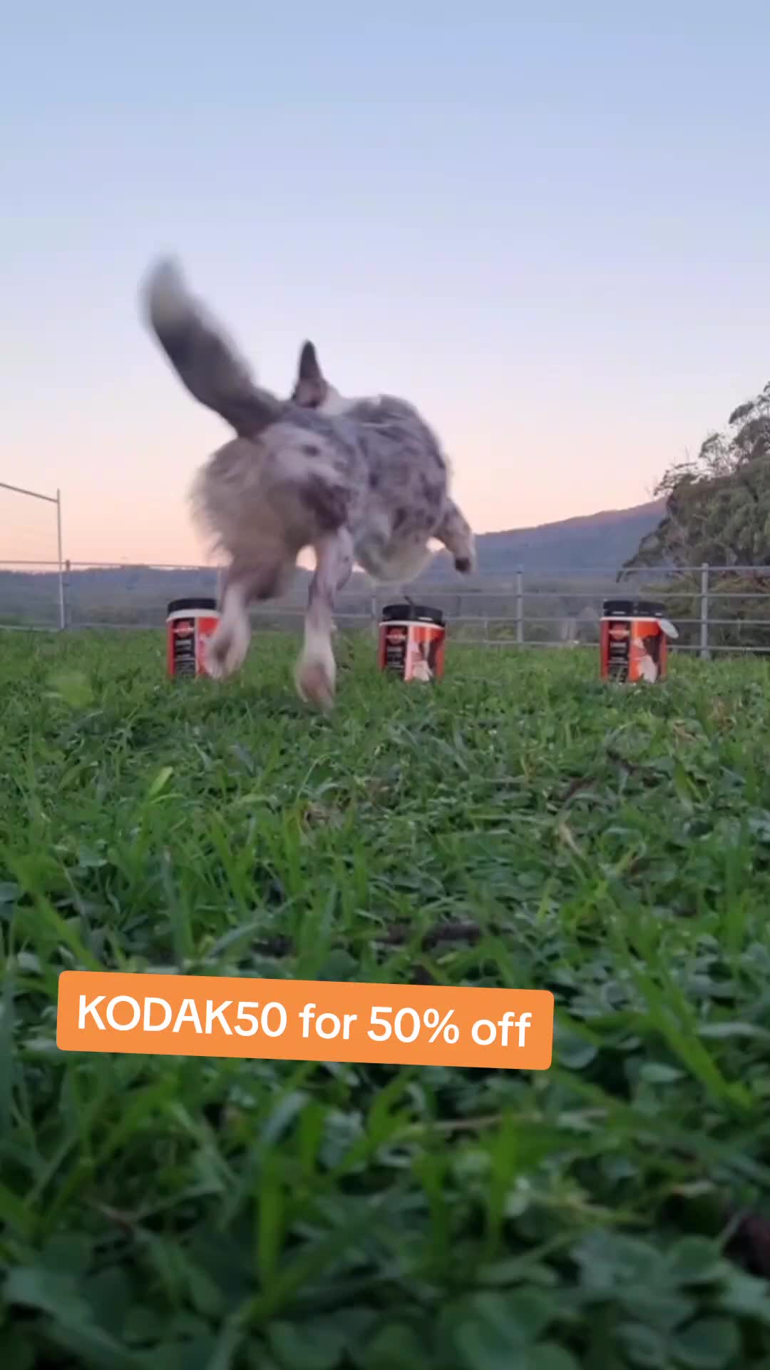 @Kodak & Crew