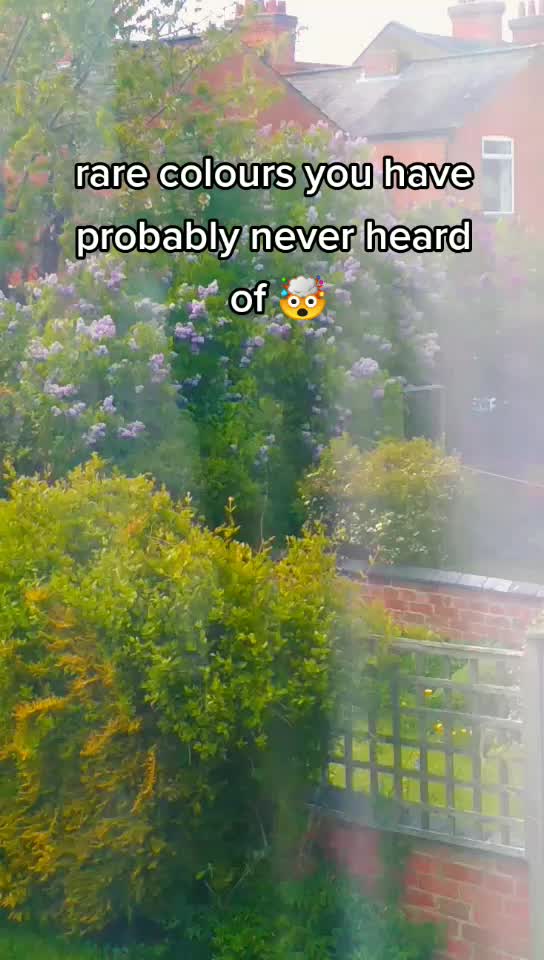 @._.