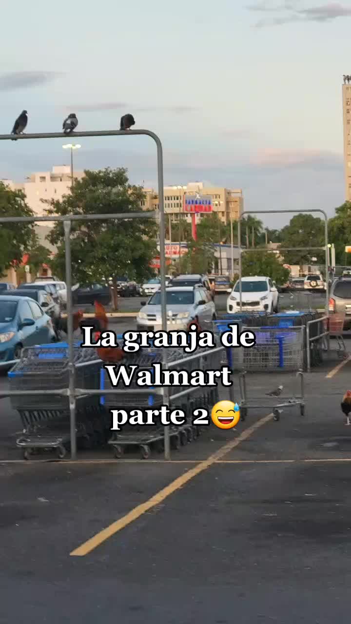 @Johanniebonilla