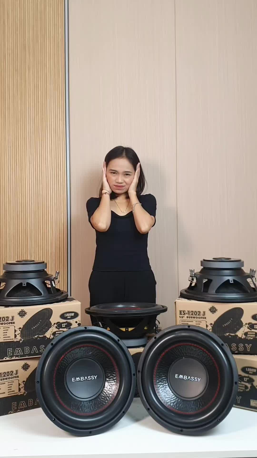@JV Monster Car Audio Store
